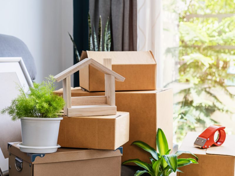 Stack of cardboard boxes in living room at new house on moving day